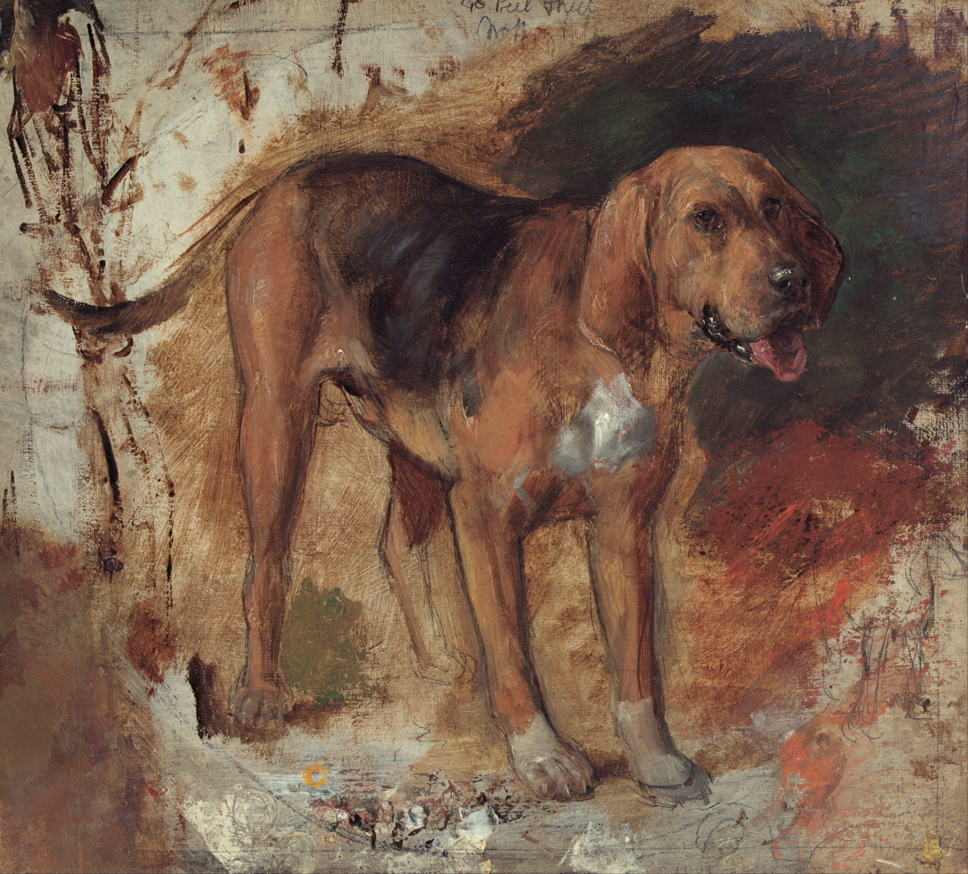Étude d'un chien de Saint-Hubert - William Holman Hunt
