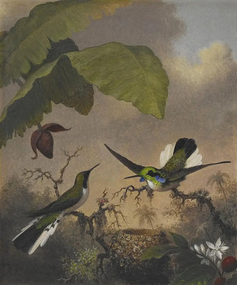 Fée aux oreilles noires - Martin Johnson Heade
