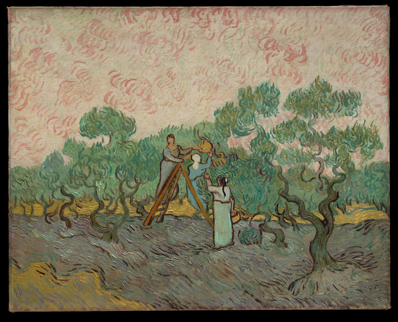 Femmes cueillant des olives – Vincent van Gogh