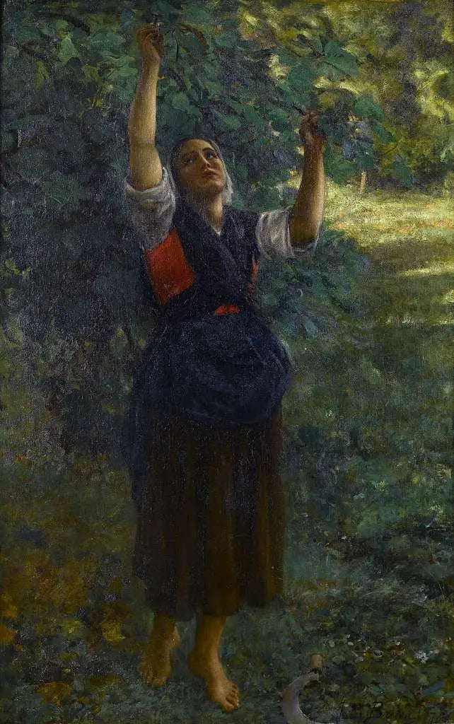 Fille cueillant des figues - Jules Breton