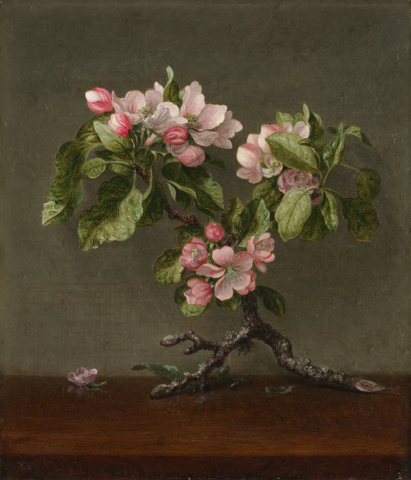 Fleurs de pommier - Martin Johnson Heade