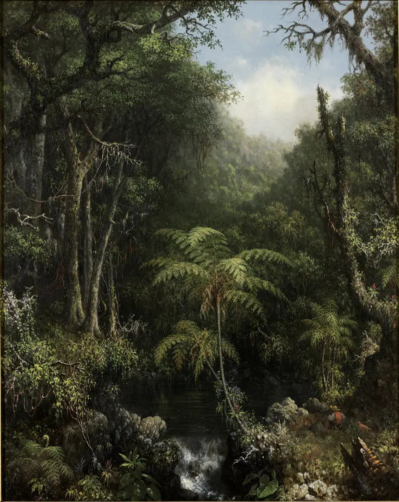 Forêt brésilienne - Martin Johnson Heade