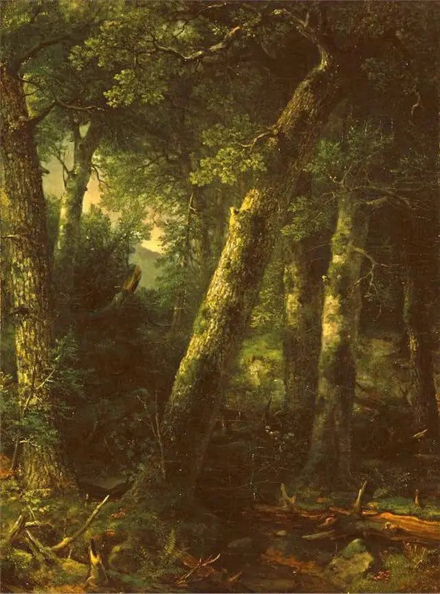 Forêt dans la lumière du matin - Asher Brown Durand