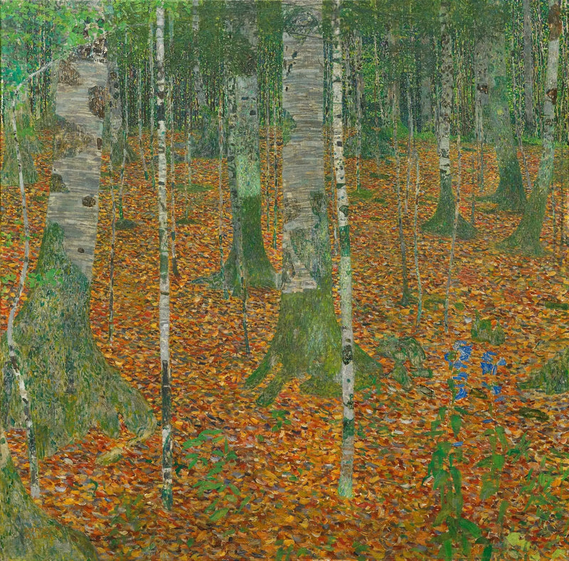 Forêt de bouleaux - Gustav Klimt