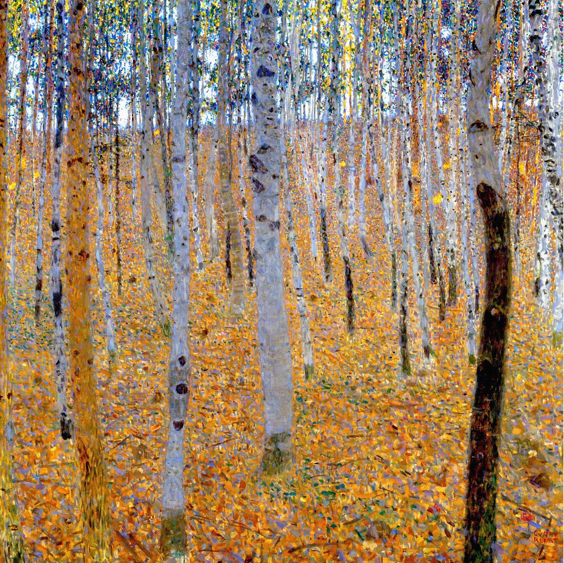 Forêt de bouleaux - Gustav Klimt