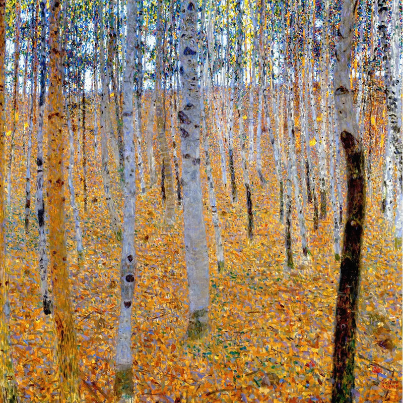 Forêt de bouleaux - Gustav Klimt