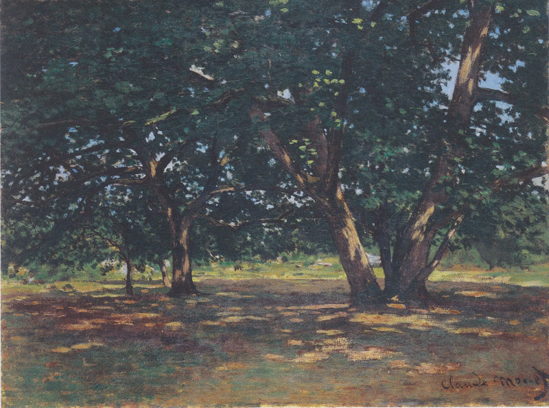 Forêt de Fontainebleau - Claude Monet