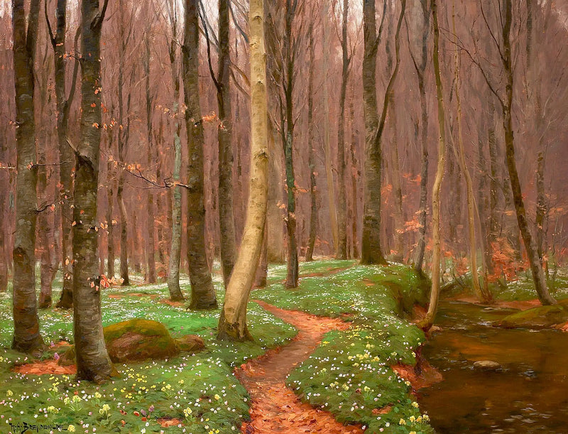 Forêt de hêtres avec des anémones en fleurs et un petit ruisseau. - H. A. Brendekilde