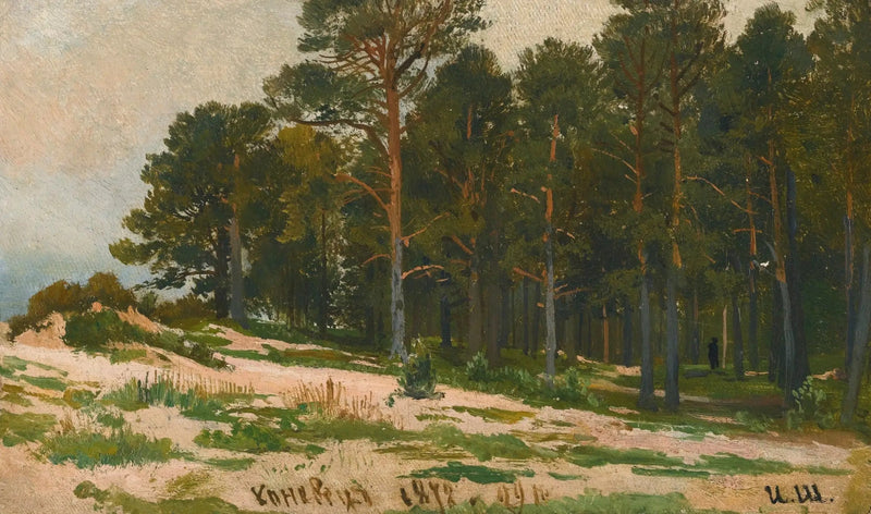 Forêt de pins - Ivan Chichkine