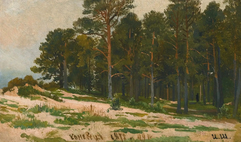 FORÊT DE PINS - Ivan Chichkine
