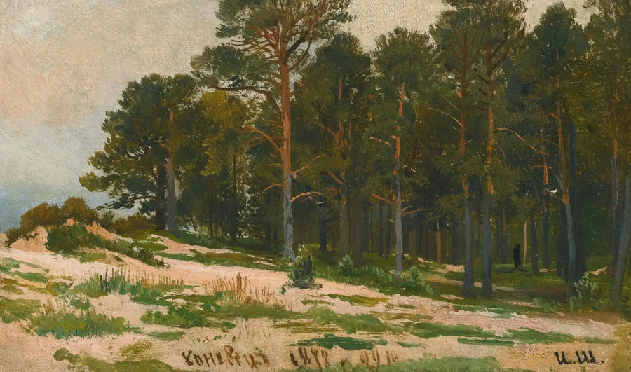 FORÊT DE PINS - Ivan Chichkine