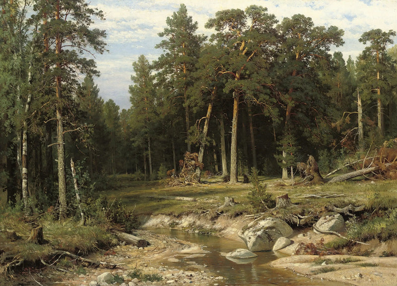 Forêt de pins mâts dans la province de Viatka - Ivan Chichkine