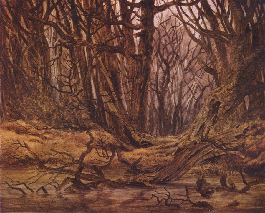 forêt en fin d'automne - Caspar David Friedrich