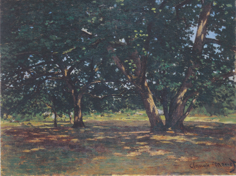 Forêt de Fontainebleau W59 – Claude Monet