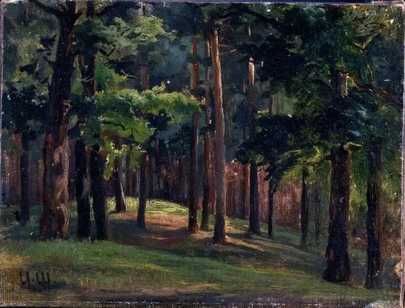Forêt - Ivan Chichkine