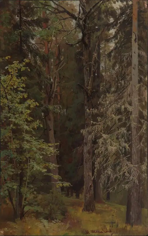 Forêt mixte - Ivan Chichkine