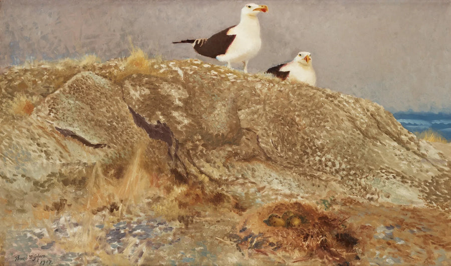 Goélands marins - Bruno Liljefors