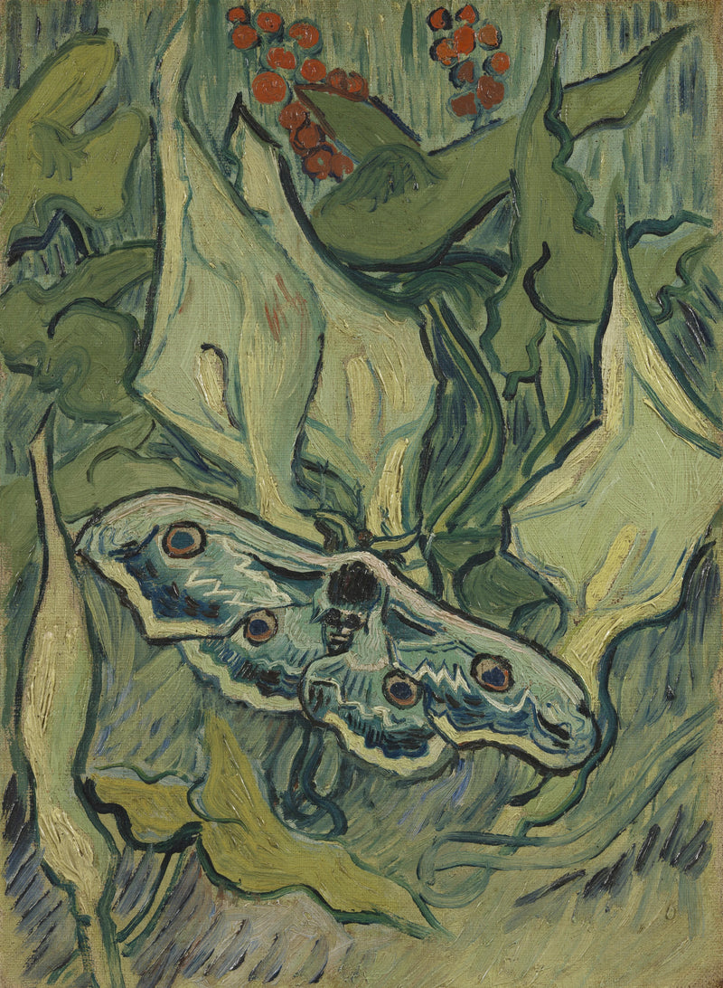 Grand Paon de nuit, F610 – Vincent van Gogh