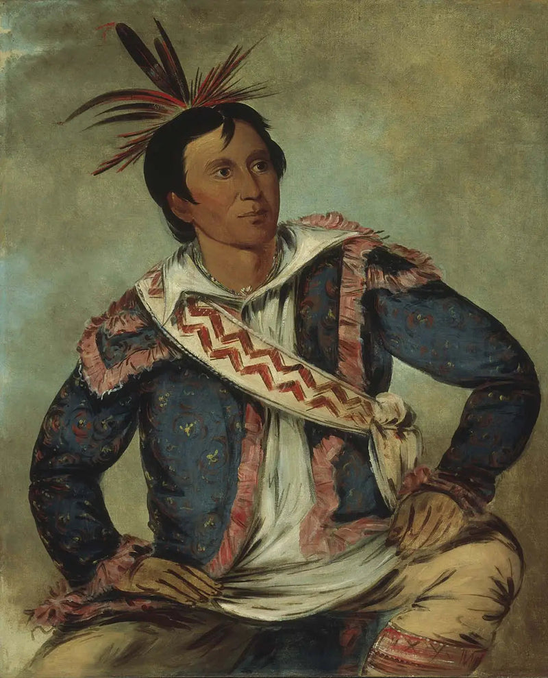 Há-tchoo-túc-knee, tortue serpentine, une métisse - George Catlin
