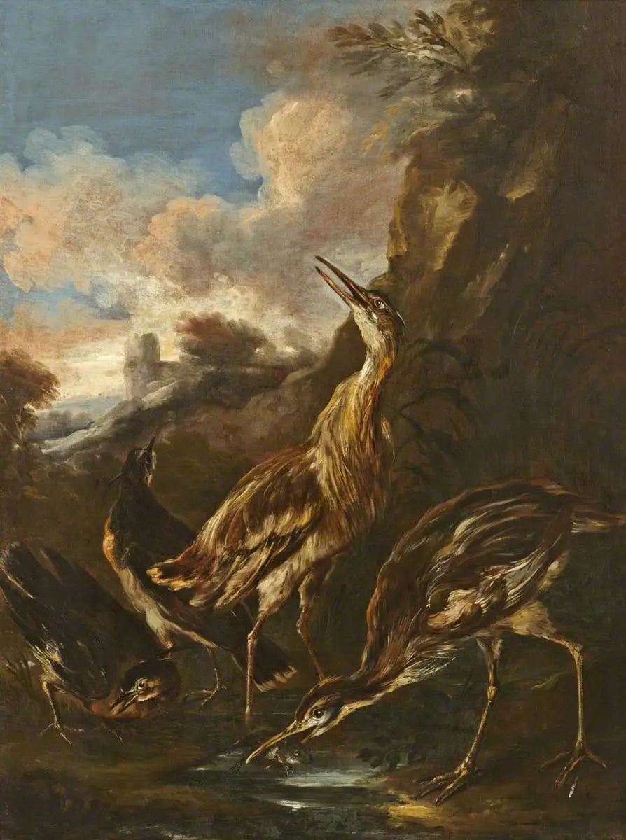 Hérons et vanneaux - Melchior de Hondecoeter - Alpha Reproduction