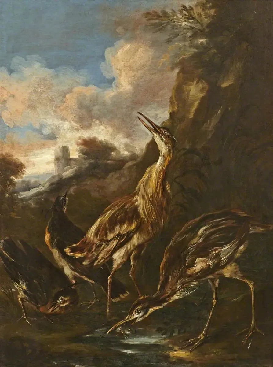 Hérons et vanneaux - Melchior de Hondecoeter