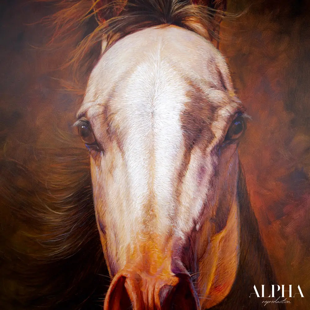 Horse – Somchai | 100 x 130 cm Reproductions de tableaux à la peinture à l’huile