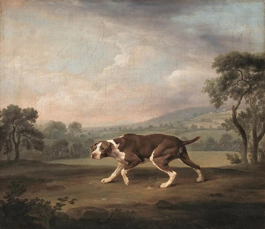 Hühnerhund - George Stubbs