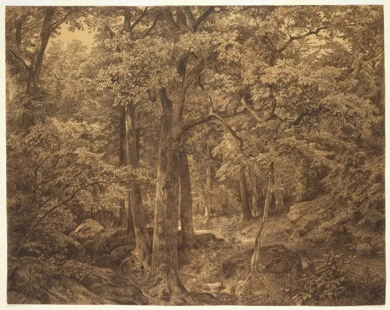 Intérieur de la forêt - William Trost Richards