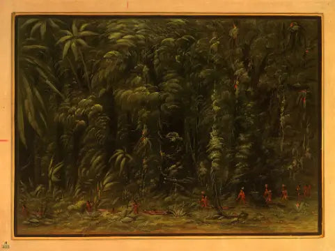 Intérieur d’une forêt amazonienne - Zurumati - George Catlin - Alpha Reproduction