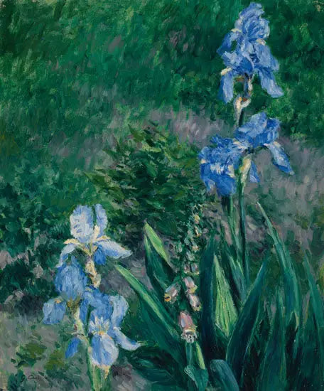 Iris bleus, jardin du Petit Gennevilliers - Gustave Caillebotte