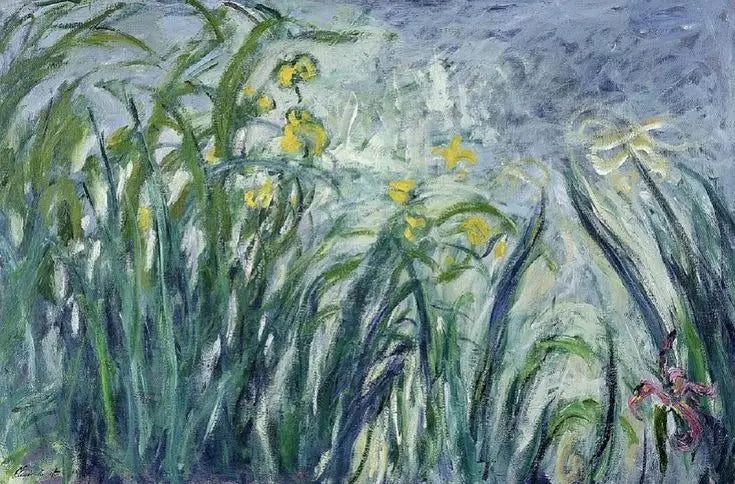 Iris jaunes et mauves - Claude Monet