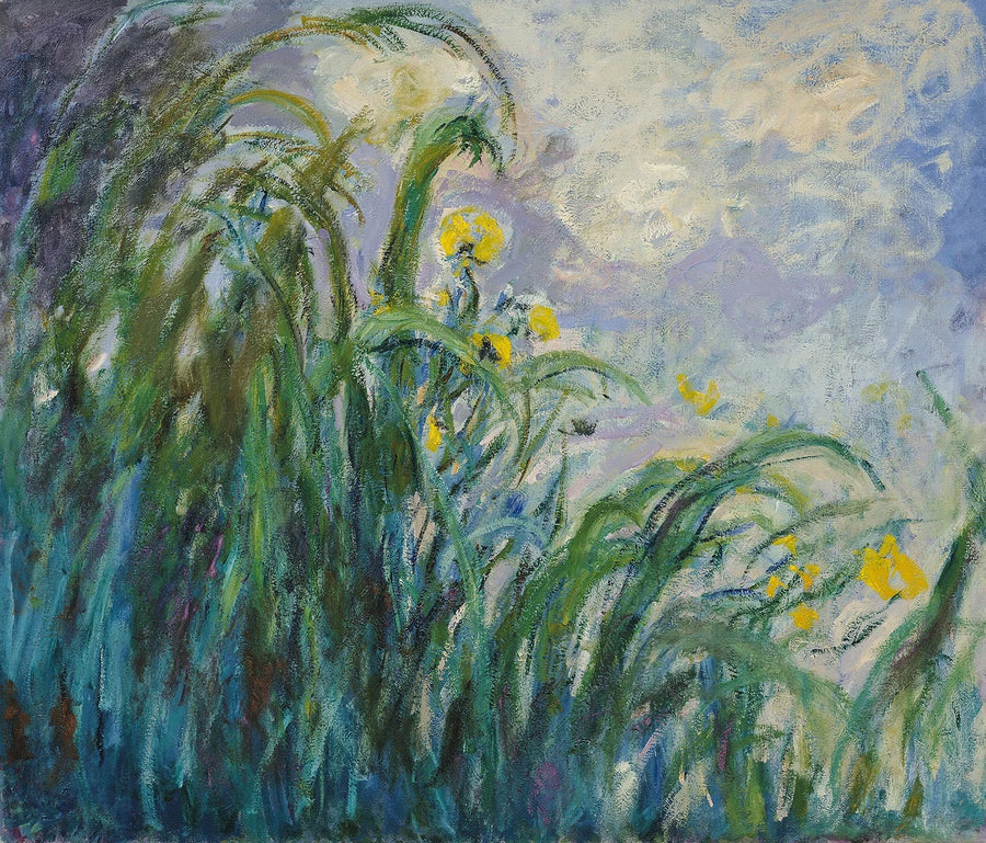 Les Iris jaunes – Claude Monet