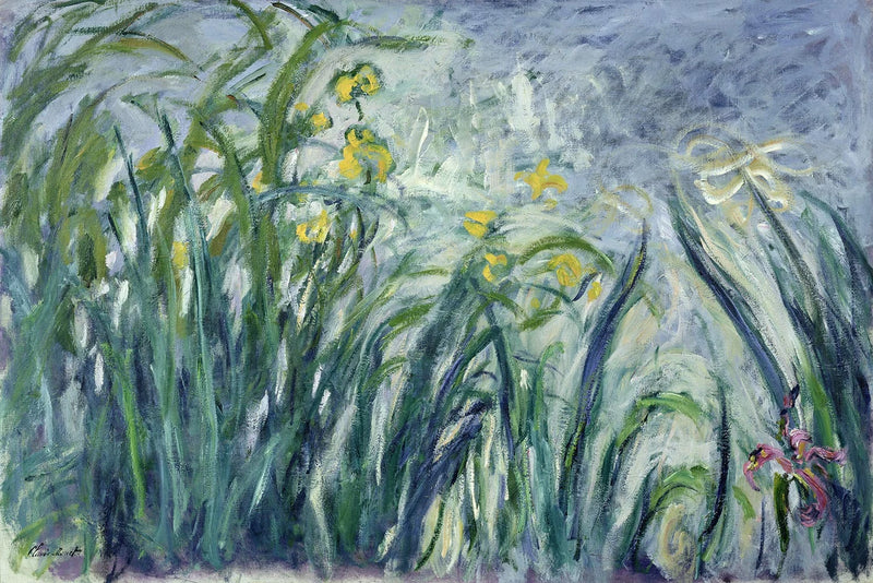 Iris jaunes et mauves – Claude Monet