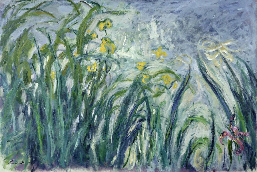 Iris jaunes et mauves – Claude Monet