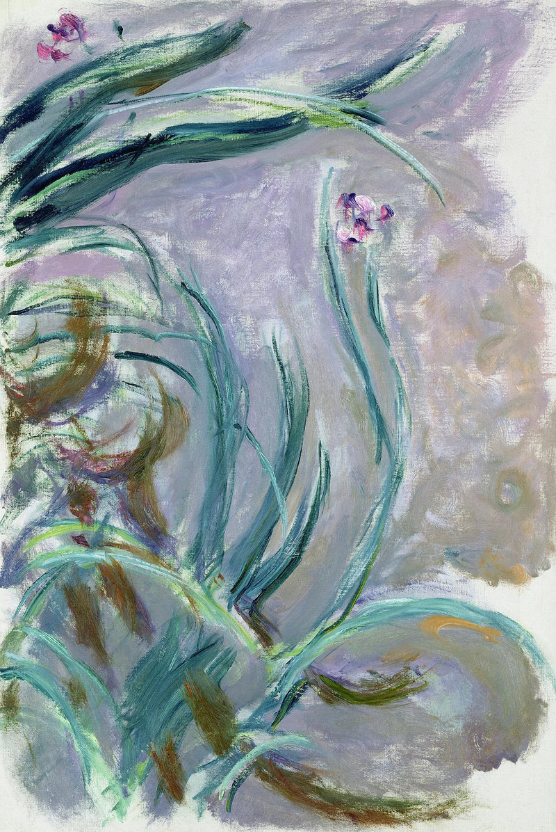 Iris – Claude Monet