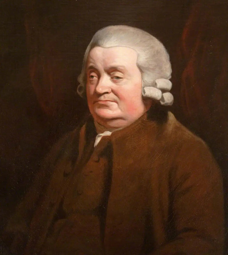 James Johnston (1721–1797), chirurgien, prévôt de Dundee (1790–1791) - Henry Raeburn