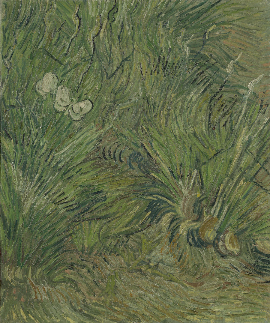 Jardin aux papillons – Vincent van Gogh