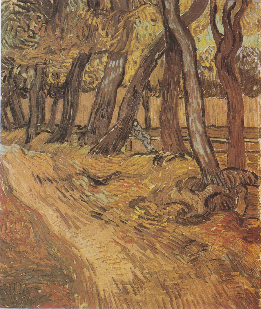 Jardin de l'hôpital Saint-Paul avec Figure, Le - Vincent van Gogh