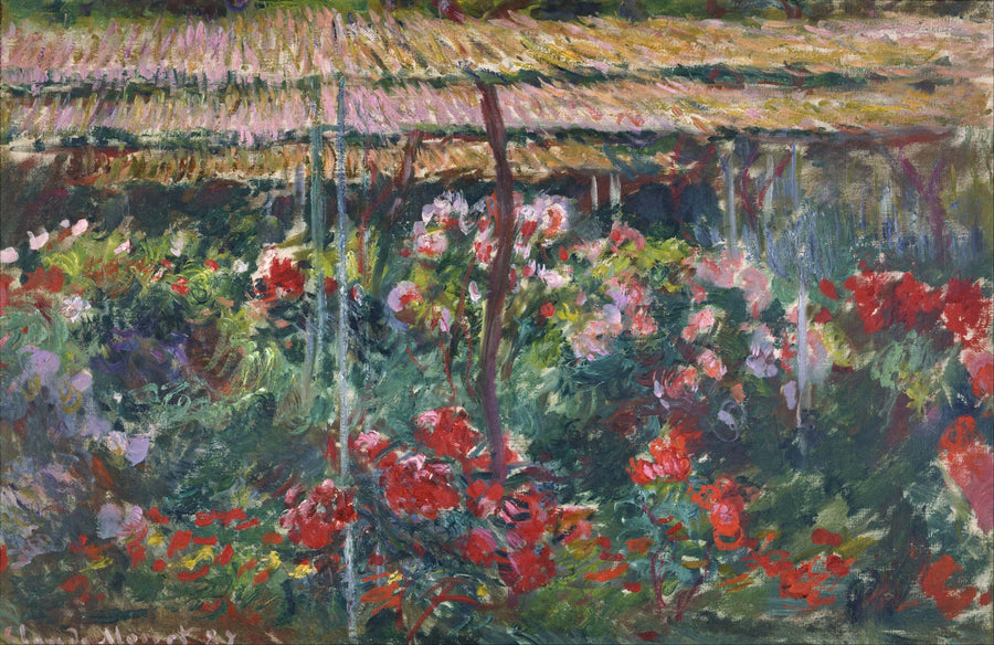Jardin de pivoines W1140 – Claude Monet