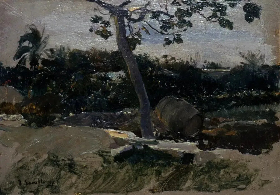 Jardin, Valence - Joaquín Sorolla