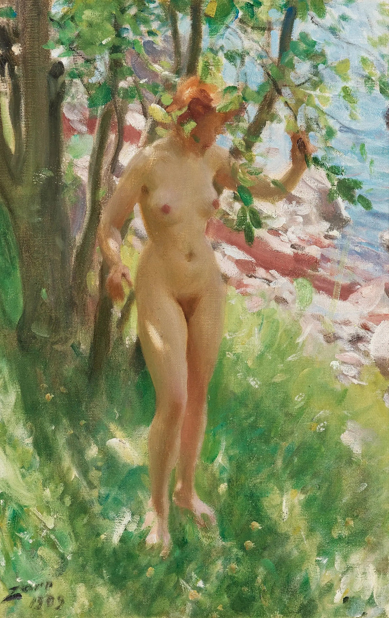L'Ombre - Anders Zorn