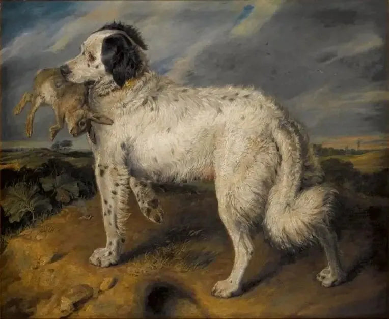 La Championne : Vénus - Edwin Henry Landseer