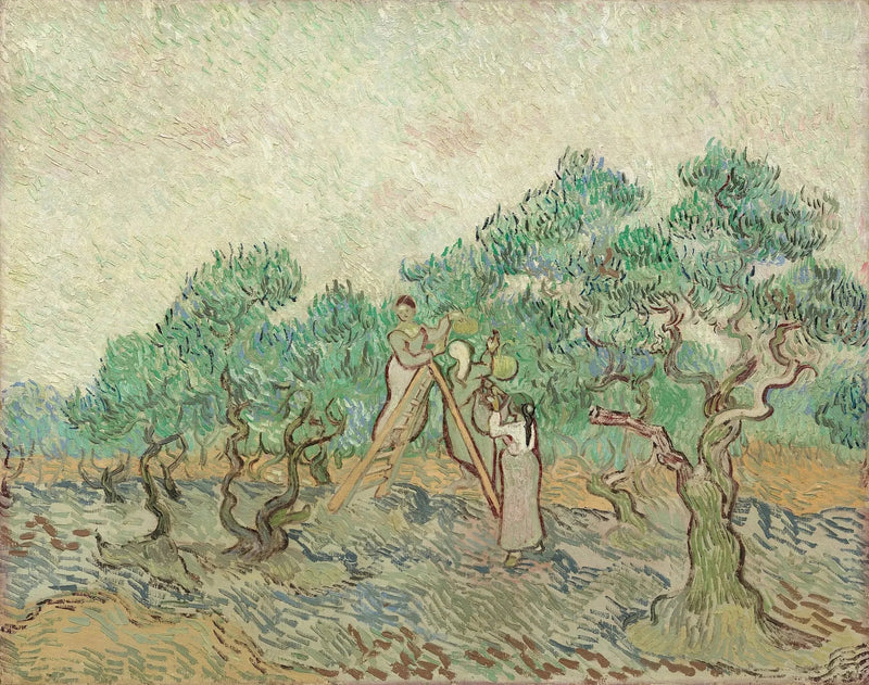 La Cueillette des olives - Vincent van Gogh