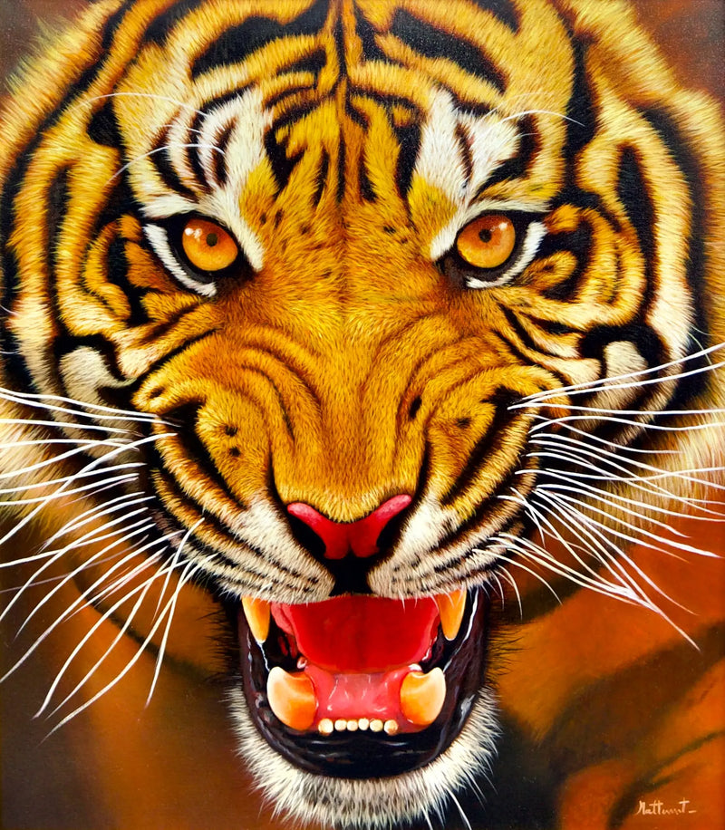 La Force du Tigre | 95 x 105 cm