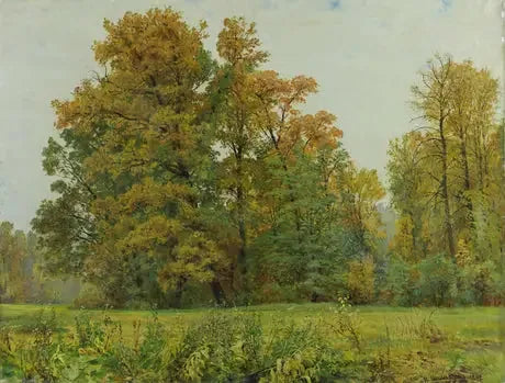 La lisière de la forêt - Ivan Chichkine