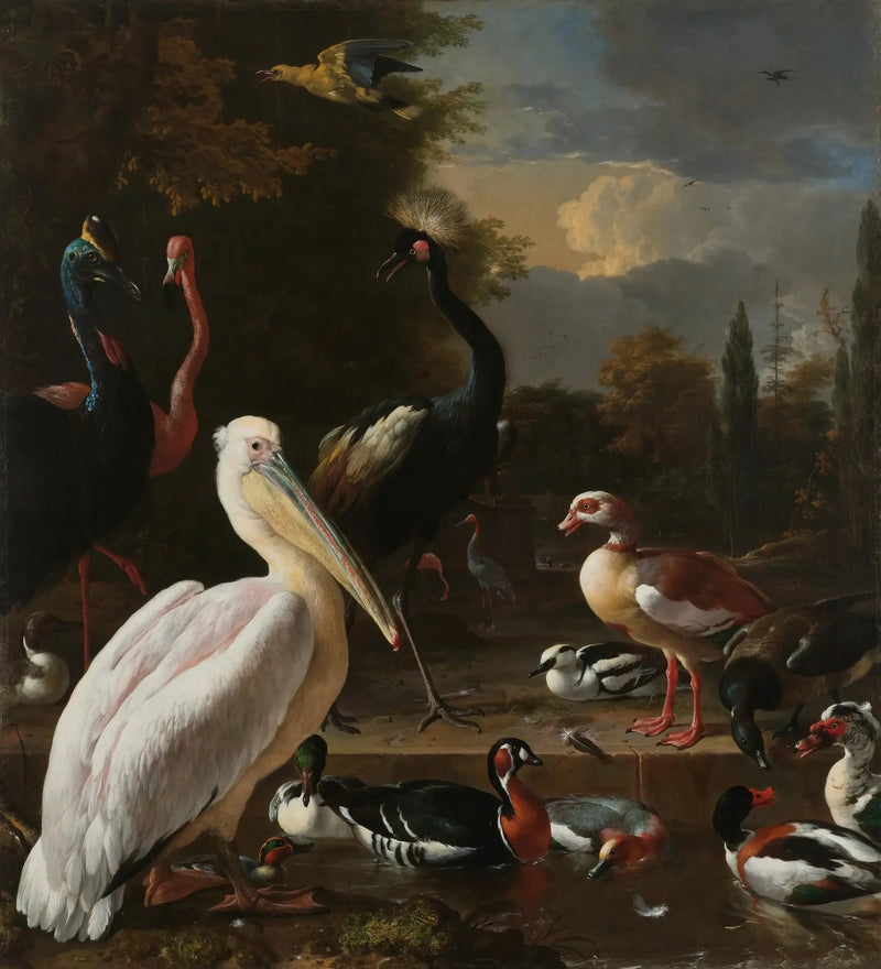 La plume flottante - Melchior de Hondecoeter