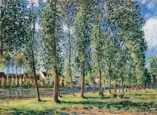 La rangée de peupliers à Moret - Alfred Sisley