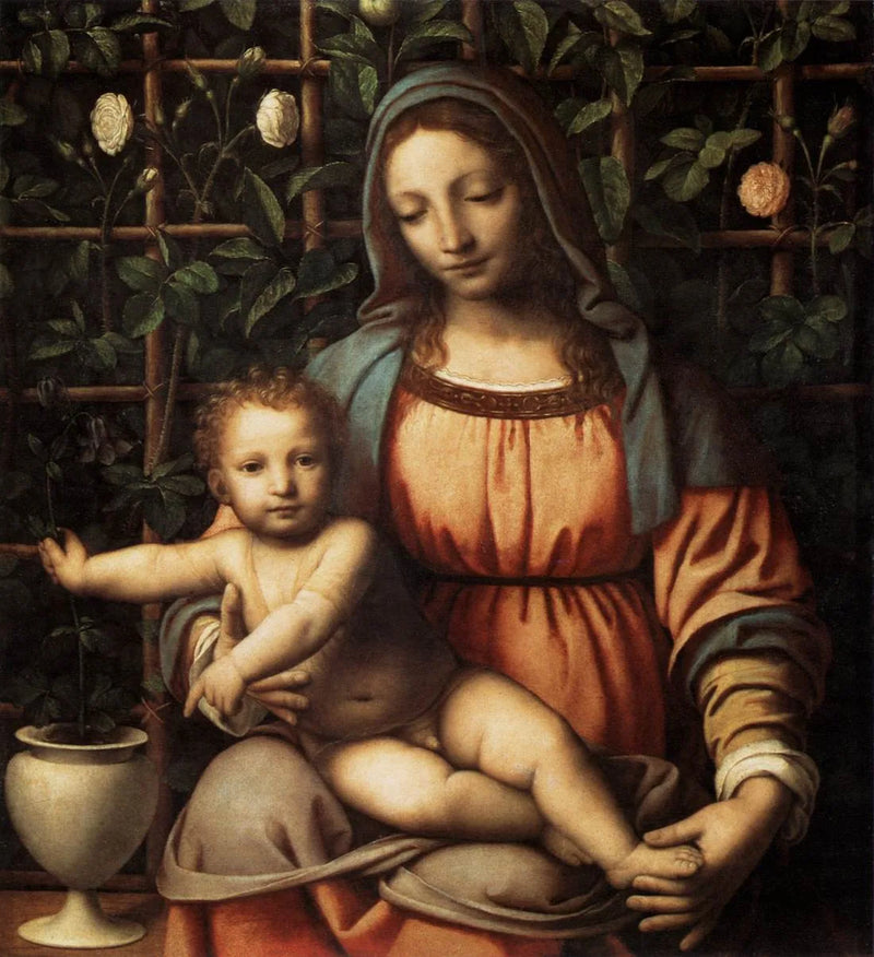 La Vierge à la roseraie - Bernardino Luini