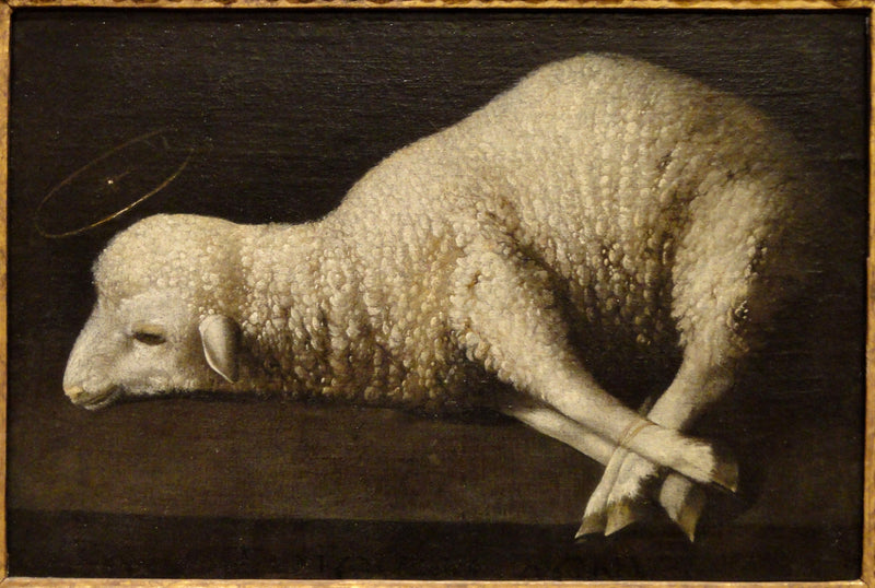 L'Agneau de Dieu - Francisco de Zurbarán