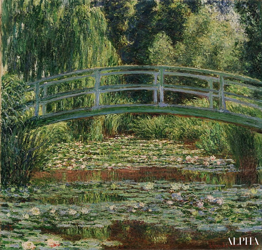 Le bassin aux nymphéas
